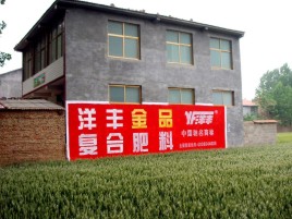 绵阳如何让墙体广告展现最大化效果