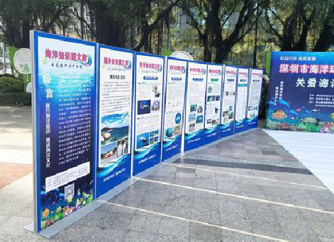 绵阳KT板的种类和知识。